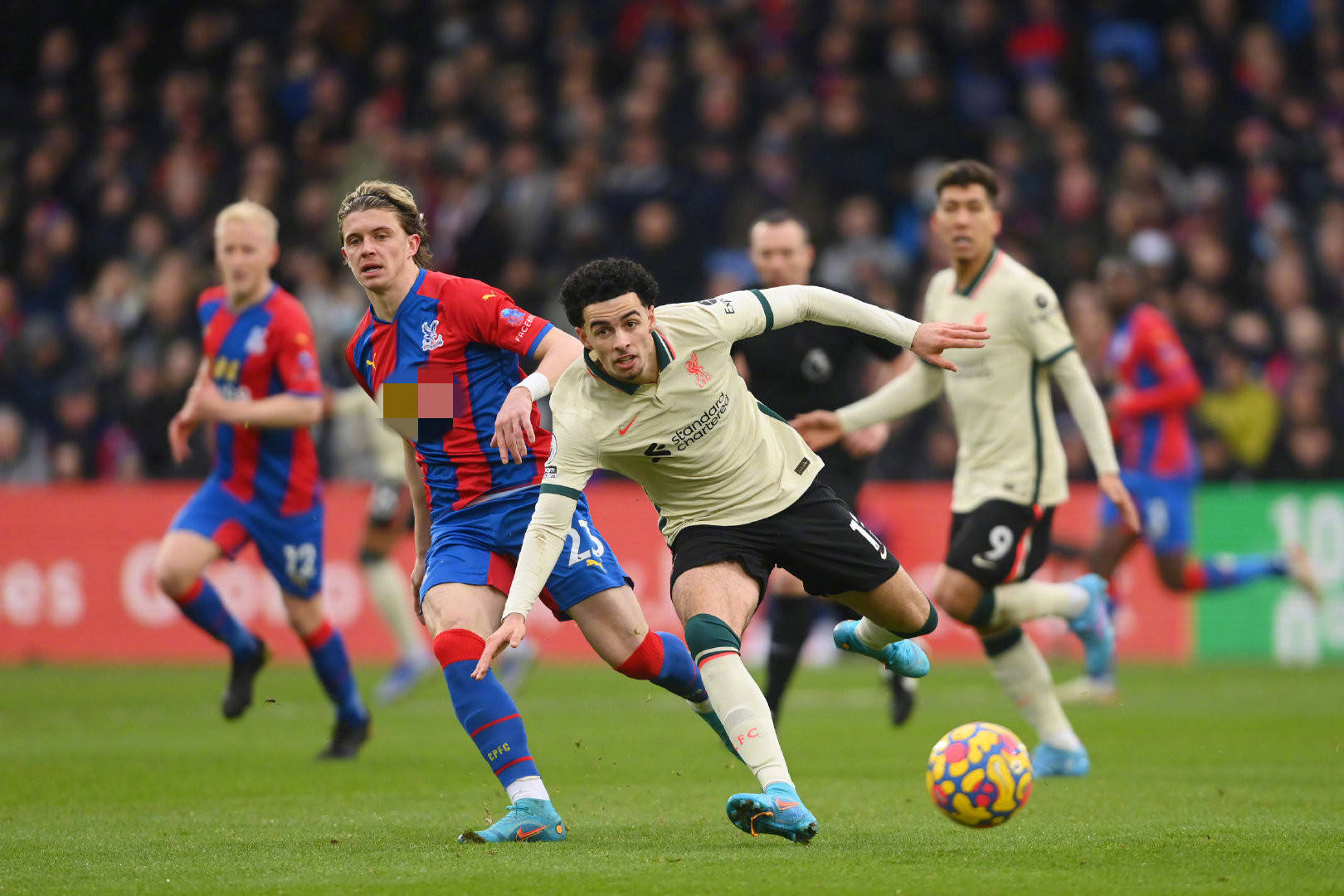 不仅显示了 不仅显示了